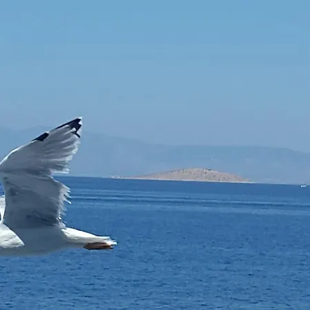 Apartman Margarita *