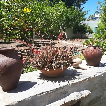 Margarita Apartamento Páros