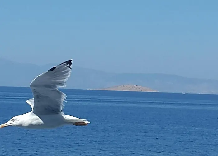 Apartment Margarita *